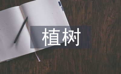 植樹問題教學設計