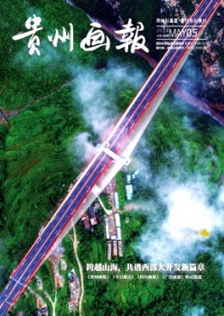 貴州畫報(bào)雜志